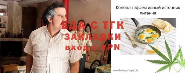 индика Алексин