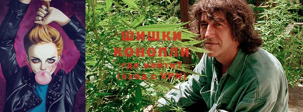 стафф Абаза