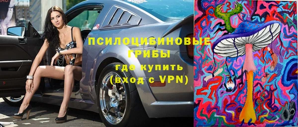 ГАЛЛЮЦИНОГЕННЫЕ ГРИБЫ Новодвинск
