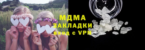 индика Алексин