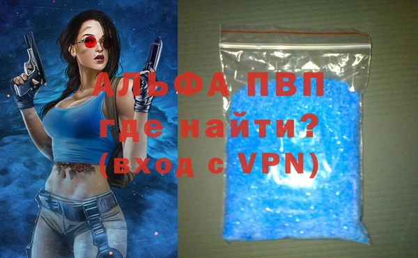 индика Алексин