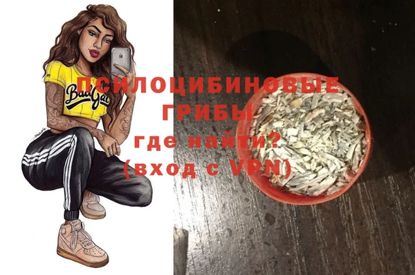 ГАЛЛЮЦИНОГЕННЫЕ ГРИБЫ Новодвинск