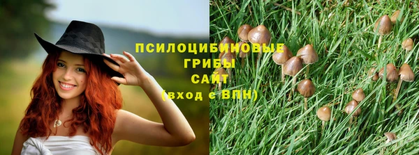 эйфоретик Алексеевка