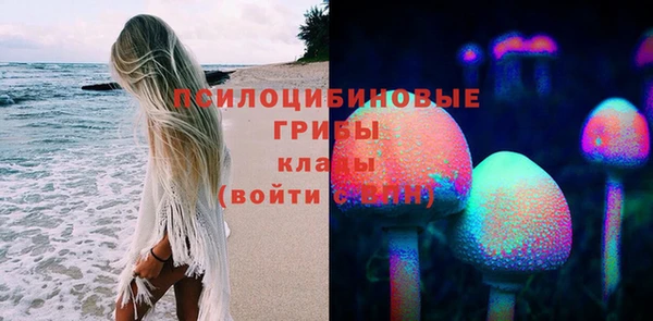 стафф Абаза