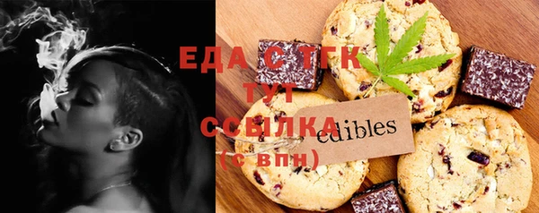 индика Алексин