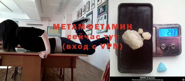 индика Алексин