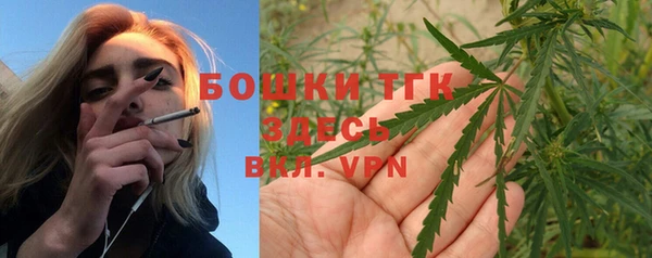 индика Алексин